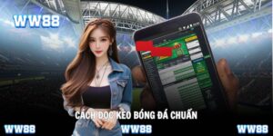 Cách đọc kèo bóng đá
