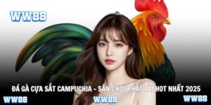 Đá gà cựa sắt Campuchia