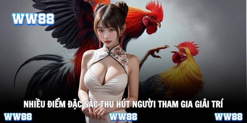 Nhiều điểm đặc sắc thu hút người tham gia giải trí